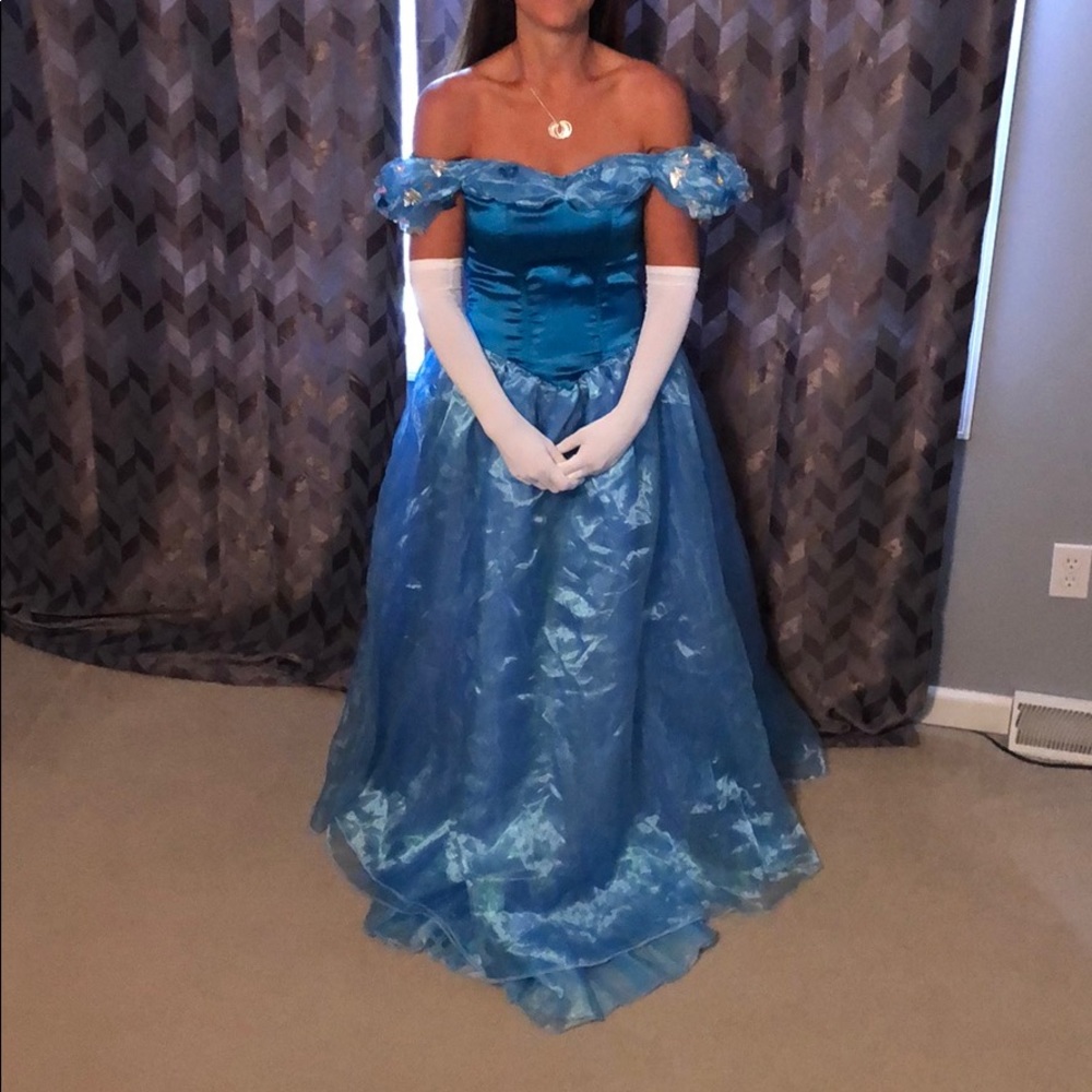 Cinderella Halloween costume